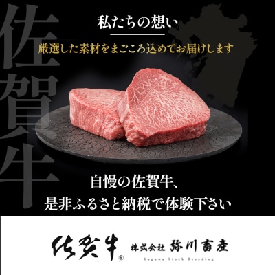 佐賀牛 しゃぶしゃぶ・すき焼き      　380g　ZJ1