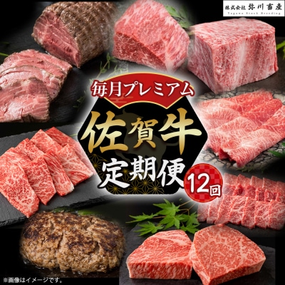 佐賀牛 毎月プレミアム定期便 12回コース 定期便 X8
