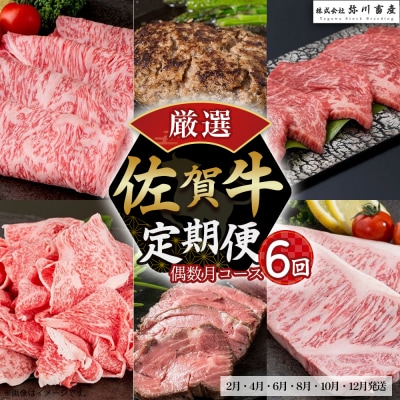 佐賀牛 厳選!6回定期便 偶数月コース 【2月・4月・6月・8月・10月・12月発送】 T31