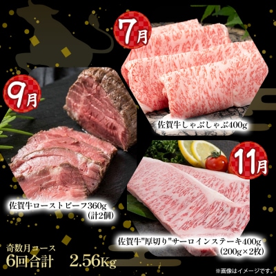 佐賀牛 厳選!6回定期便 奇数月コース【1月・3月・5月・7月・9月・11月発送】 T30