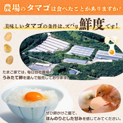 たまご家のハーブ卵(笑顔)30個 12ヵ月定期便 T26