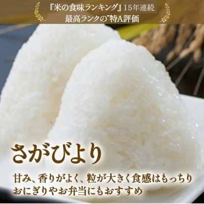 【先行予約】佐賀県太良町産～牟田農園のさがびより(5㎏×2袋)<精米>(令和8年度産)P114x1