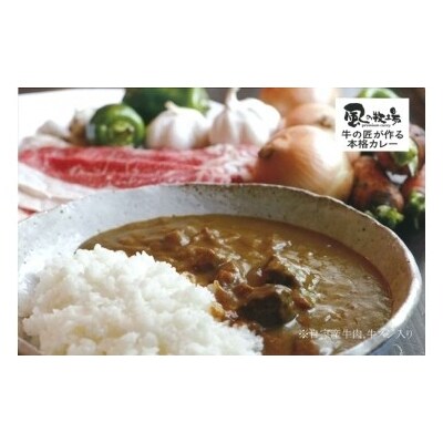 風の牧場「牛の匠が作る本格カレー」【200g×10個(箱なし)】 OD2