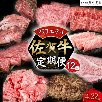佐賀牛 バラエティ12回定期便 UB1