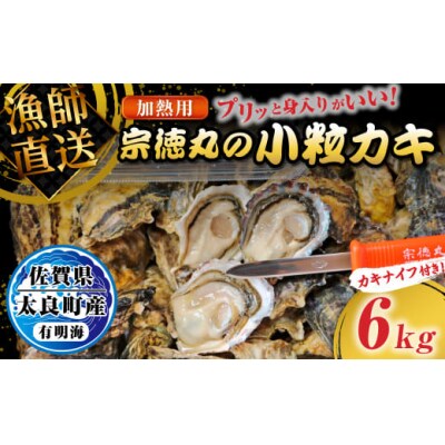 宗徳丸の小粒カキ 6kg PG1