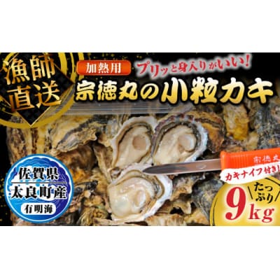 宗徳丸の小粒カキ 9kg QD2