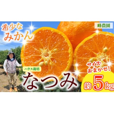 峰農園のハウスなつみ 5kg(サイズおまかせ) O165
