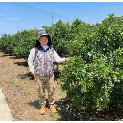 峰農園のハウスなつみ 5kg (サイズおまかせ) 