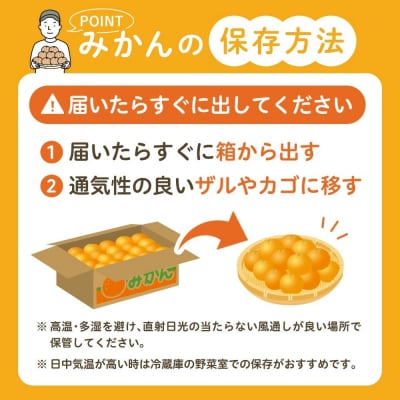 峰農園のハウスなつみ 5kg (サイズおまかせ) 