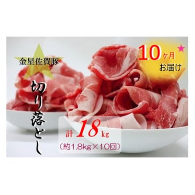 【10ヶ月定期便】金星佐賀豚 切り落とし(300g×6パック)10回お届け TA3