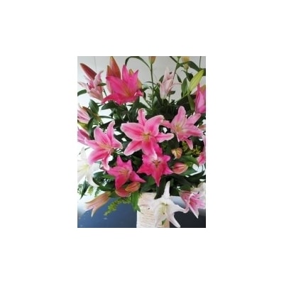オリエンタルユリ 花束 Q25