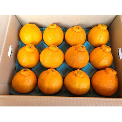 まちなが家族農園の不知火(しらぬい)5kg N105x1