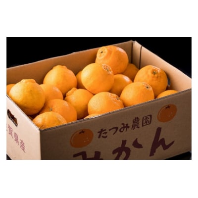 辰見農園の春待ち「しらぬひ」小玉　5kg L92