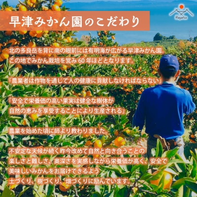 【令和8年2月中旬頃～発送】L-27 早津みかん園のスイートスプリング 3kg L27