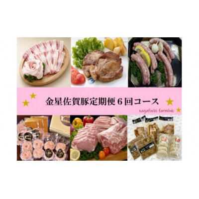 金星佐賀豚　定期便6回コース TA2