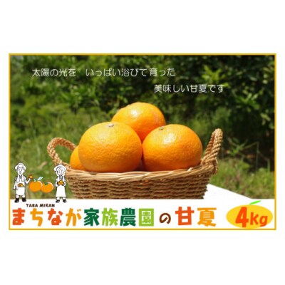 まちなが家族農園の甘夏4kg LB1x1