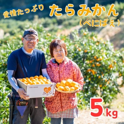 愛情たっぷりたらみかん(べにばえ)【種あり】5kg NA3