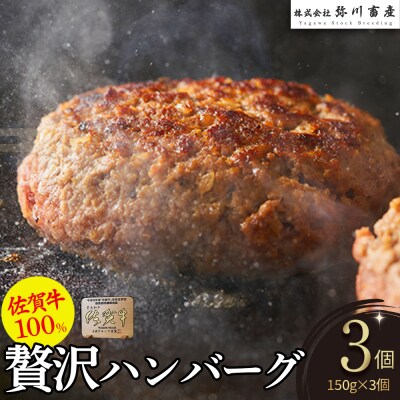 絶品! 佐賀牛 100%ハンバーグ 150g×3個　N217