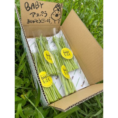 BABYサイズ 森のアスパラ 120g×4袋