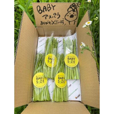 BABYサイズ 森のアスパラ 120g×4袋