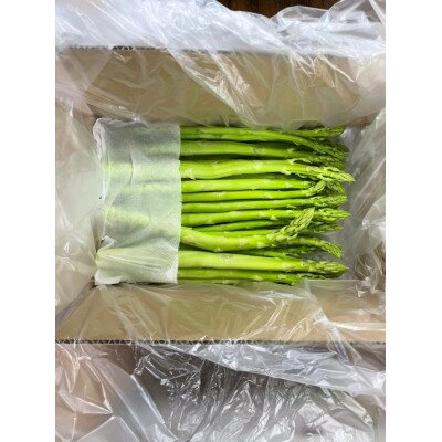 味はそのまま訳あり 森のアスパラ 800g