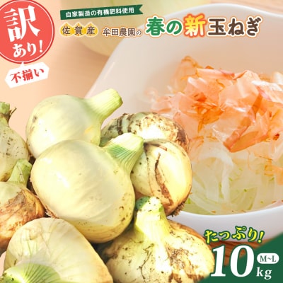 牟田農園の春の新玉ねぎ 【訳あり不揃い】