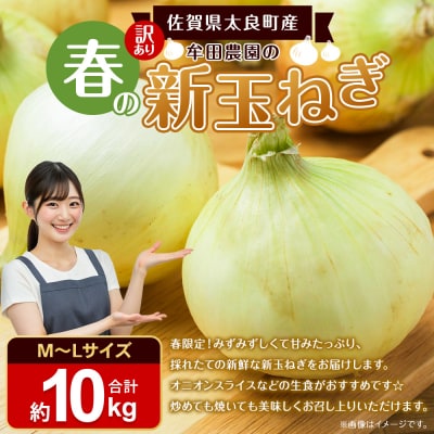 牟田農園の春の新玉ねぎ 【訳あり不揃い】