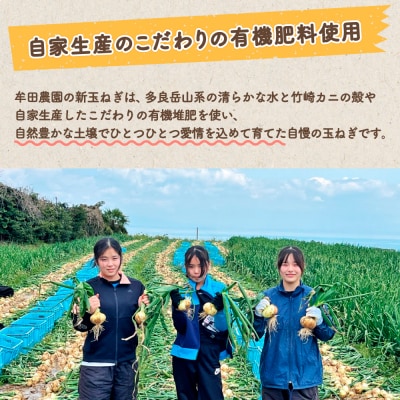 牟田農園の春の新玉ねぎ 【訳あり不揃い】