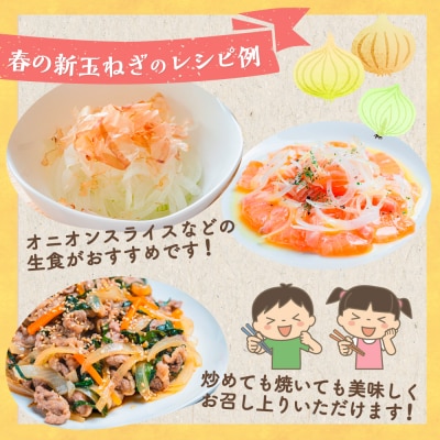牟田農園の春の新玉ねぎ 【訳あり不揃い】
