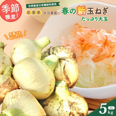 牟田農園の春の新玉ねぎ たっぷり大玉 5㎏〔2Lサイズ〕