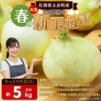 牟田農園の春の新玉ねぎ たっぷり大玉 5㎏〔2Lサイズ〕