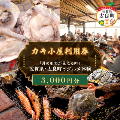 【カキ小屋利用券】「月の引力が見える町」佐賀県・太良町でグルメ体験(3,000円分) NA17