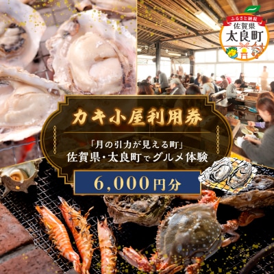 【カキ小屋利用券】「月の引力が見える町」佐賀県・太良町でグルメ体験(6,000円分) PB13