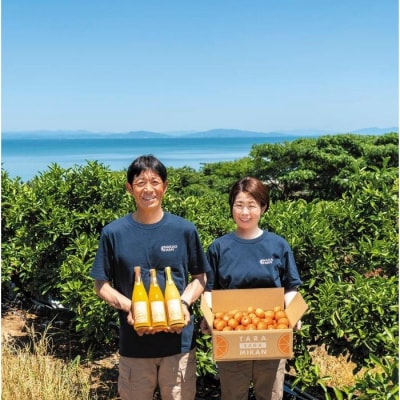 【訳あり】中尾農園の夢みるみかん はるか 5kg N258x1