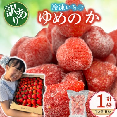 訳あり!太良町産「ゆめのか」冷凍いちご500g×1袋 LB21