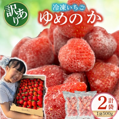 訳あり!太良町産「ゆめのか」冷凍いちご500g×2袋 MA15