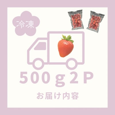 訳あり!太良町産「ゆめのか」冷凍いちご500g×2袋 MA15