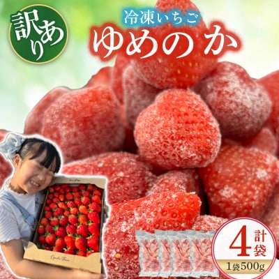 訳あり!太良町産「ゆめのか」冷凍いちご500g×4袋 NB45