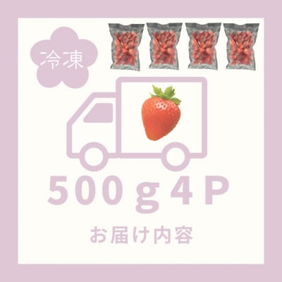 訳あり!太良町産「ゆめのか」冷凍いちご500g×4袋 NB45