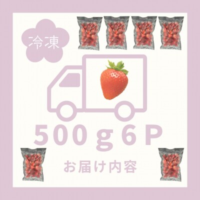 訳あり!太良町産「ゆめのか」冷凍いちご500g×6袋 OA9