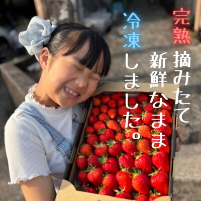 訳あり!太良町産「ゆめのか」冷凍いちご500g×8袋 OC20