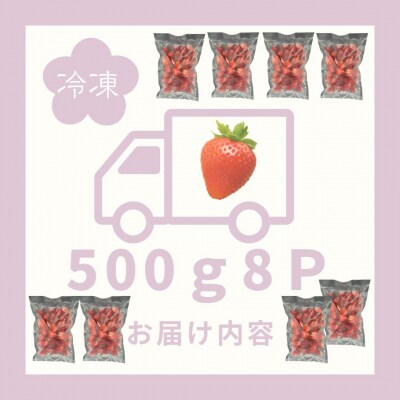 訳あり!太良町産「ゆめのか」冷凍いちご500g×8袋 OC20