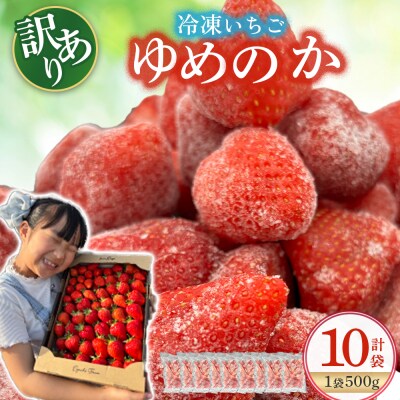 訳あり!太良町産「ゆめのか」冷凍いちご500g×10袋 PB14