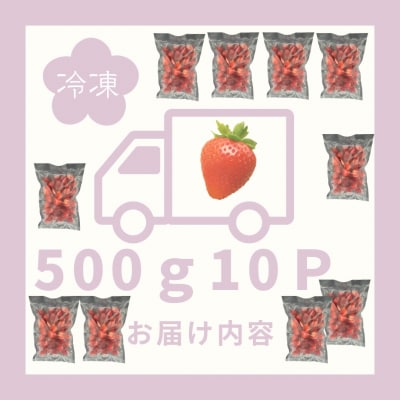 訳あり!太良町産「ゆめのか」冷凍いちご500g×10袋 PB14