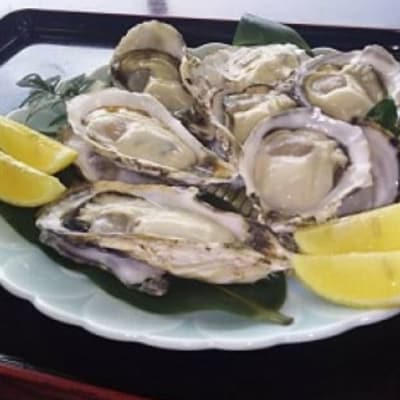 海男の殻付き牡蠣　40個 QN2