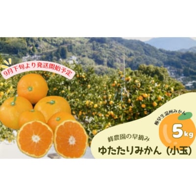 峰農園の早摘みゆたたりみかん 小玉5kg LB4