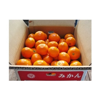 おひさまおれんじ3kg L103