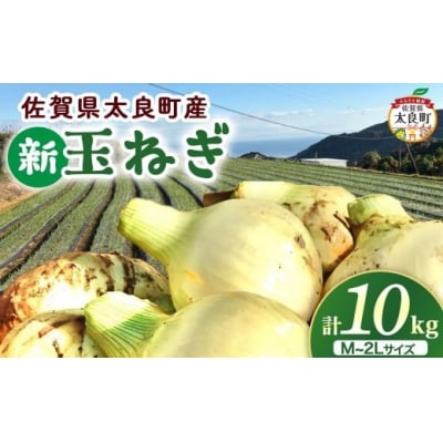 佐賀県太良町産～牟田農園の春の新玉ねぎ [M〜2L]10kg