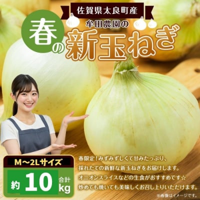 佐賀県太良町産～牟田農園の春の新玉ねぎ [M〜2L]10kg