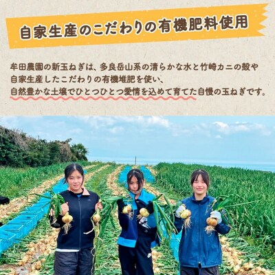 佐賀県太良町産～牟田農園の春の新玉ねぎ [M〜2L]10kg